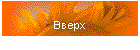 Вверх