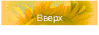 Вверх