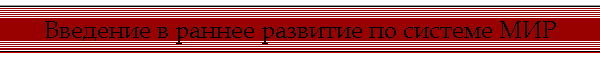 Введение в раннее развитие по системе МИР